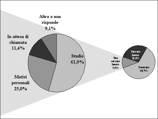 Grafico 5