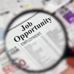 Job Seeker