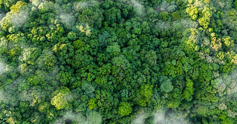 Un master per formare esperti in Gestione Ambientale 