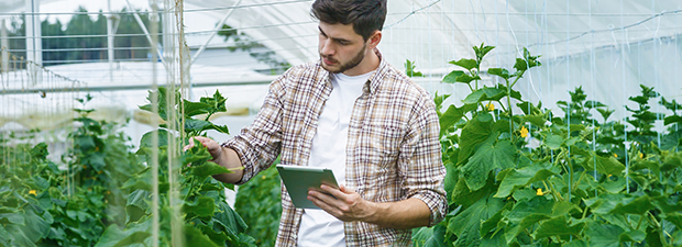 Laureati in agraria: lavoro quasi garantito e "autonomo"