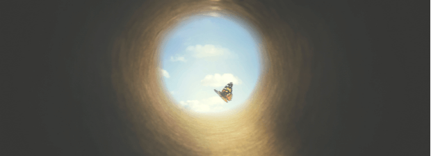 Un master per diventare esperti in Death Studies