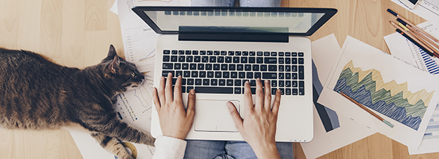 La diffusione dello smart working tra i laureati